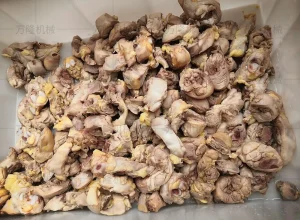 Chicken blanching machine
