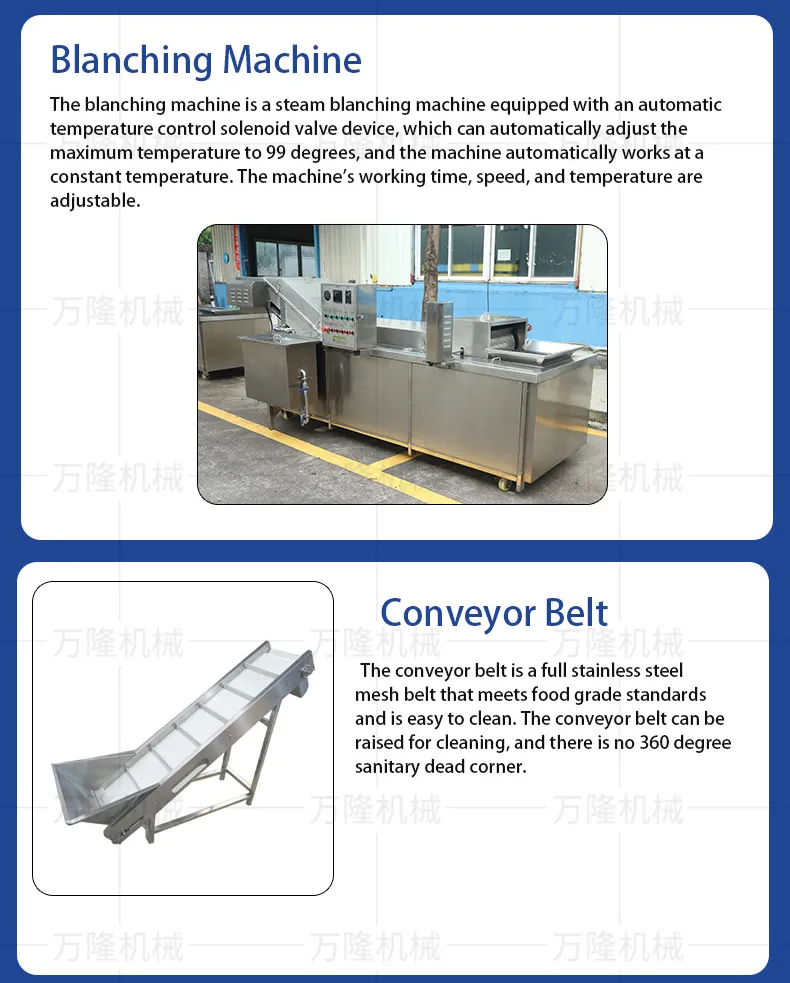 Blanching machines and conveyor belts