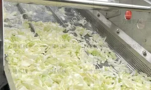 Cabbage cleaning machine
