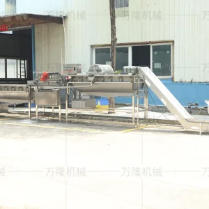 Cabbage washing machine