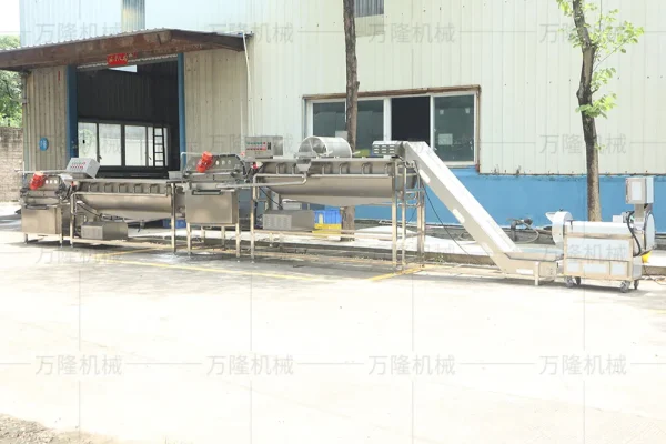 Cabbage washing machine