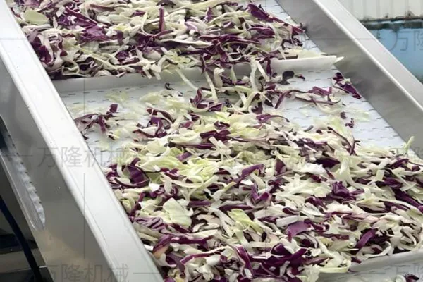 Cabbage
