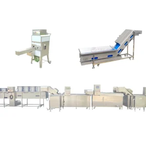 Corn blanching line
