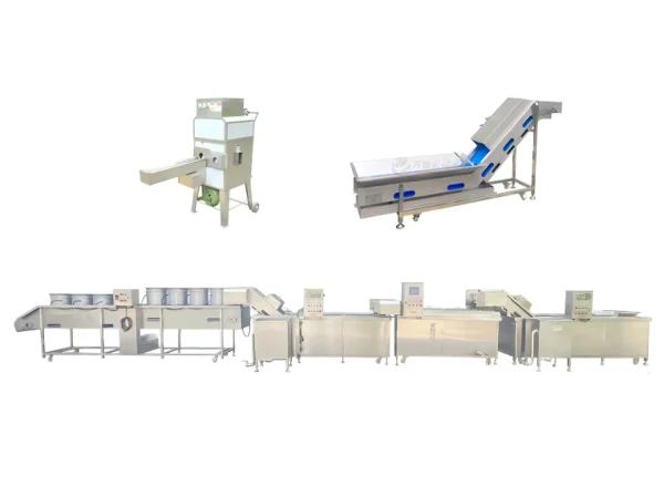 Corn blanching line