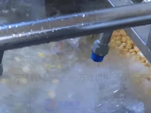Corn cleaning