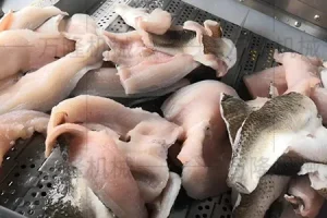 Fish skin bubble cleaning machine