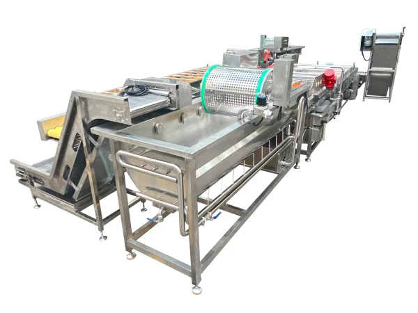 Fish skin cleaning machine