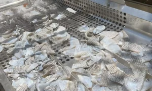 Fish skin cleaning machine