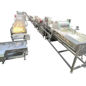 Fish skin impurity removal machine
