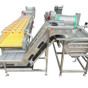 Fish skin impurity removal production line