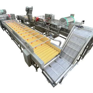 Fish skin production line