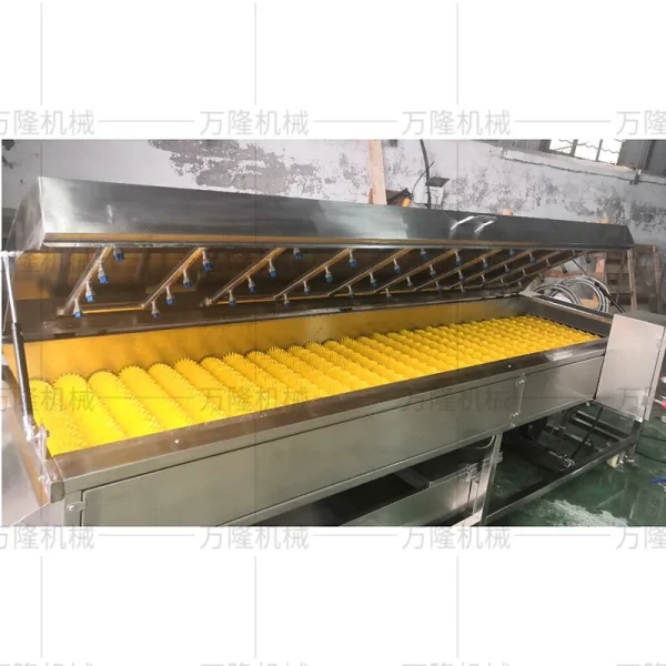 Fruit washing machine