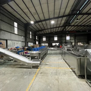 Peeling cleaning air drying and frying machine