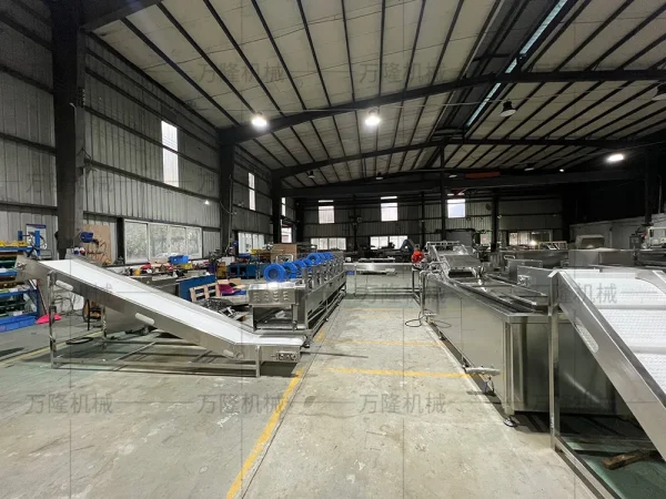 Peeling cleaning air drying and frying machine