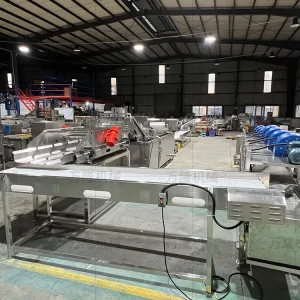 Peeling cleaning air drying and frying machine3