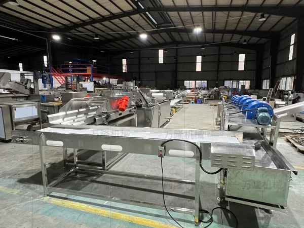 Peeling cleaning air drying and frying machine3