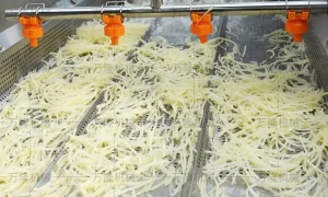 Potato cleaning machine