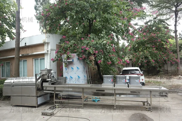 Potato processing machine