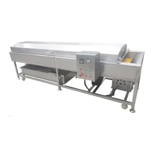 Lavadora continua de frutas QX-30