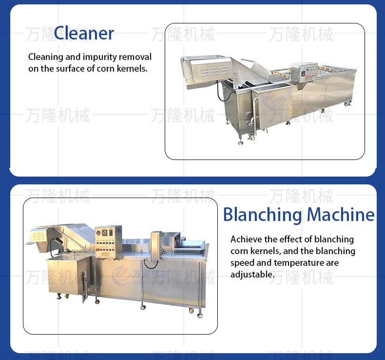 Washing machine and Blanching Machine