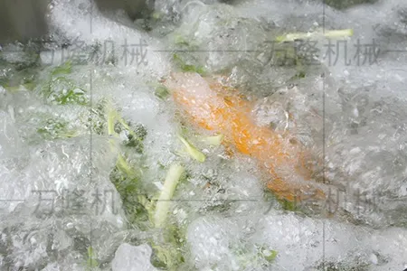 Bubble cleaning machine for vegetables