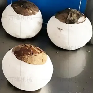 Coconut peeler
