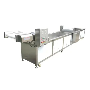 Insect and impurity removal bubble cleaning machine