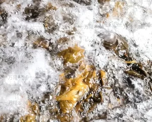 Pickle Bubble Cleaning Machine