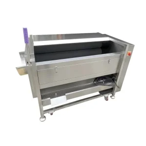 QX-12 Medium-sized Fruit and Vegetable Cleaning Peeling Machine