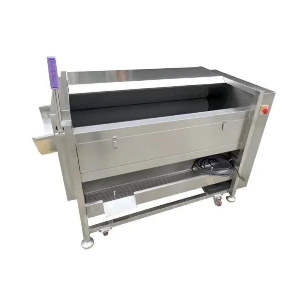 QX-12 Medium-sized Fruit and Vegetable Cleaning Peeling Machine