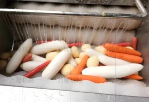 Maschine zum Reinigen und Schälen von Radieschen