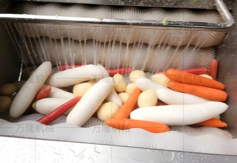 Radish cleaning and peeling machine