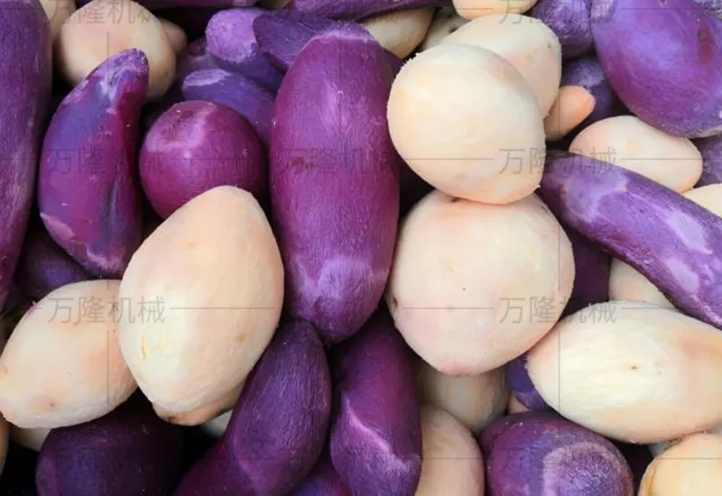 Sweet potato cleaning and peeling machine