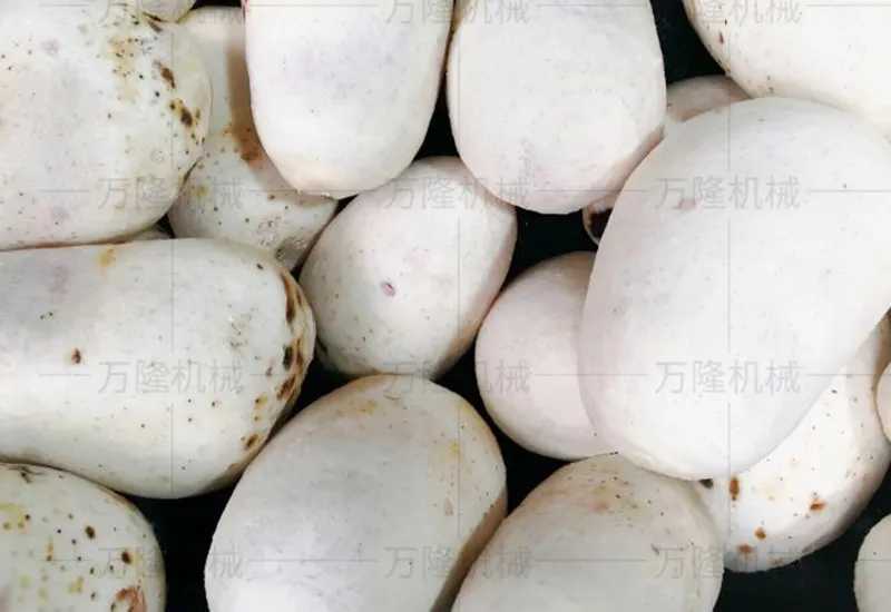 Taro cleaning and peeling machine