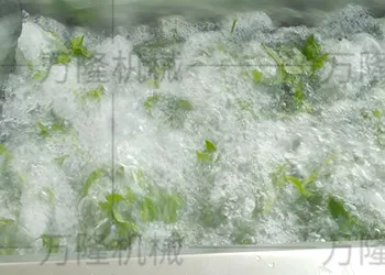 Vegetable washing machine