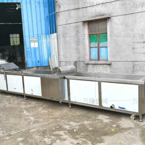 air bubble vegetable washer