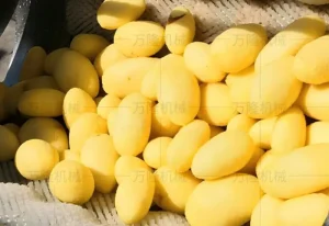 Wasch- und Schälmaschine für Kartoffeln