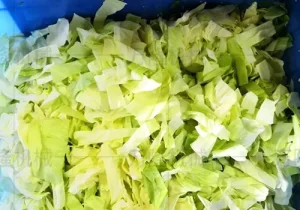 Cabbage cutting machine