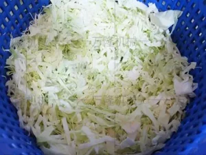 Cabbage dehydrator