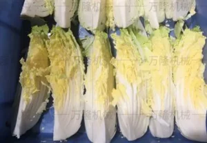 Cabbage slicing machine