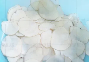 Cassava slicer