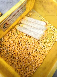 Corn thresher 2