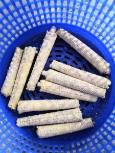 Corn thresher 4
