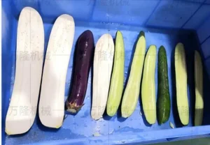 Eggplant and cucumber slicing machine