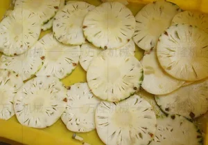 Fruit Slicer