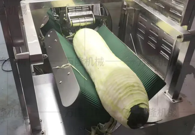 Fruit and vegetable peeling machine
