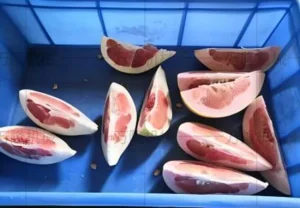 Grapefruit slicing machine