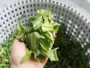 Green vegetable dehydrator