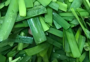 Leek cutter