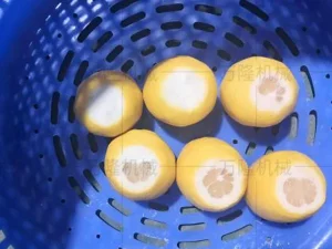 Lemon root cutting machine
